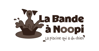 Logo Bande a Noopi