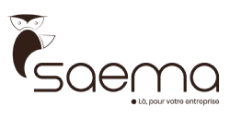 logo de Saema conseil