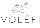 logo de Volefi