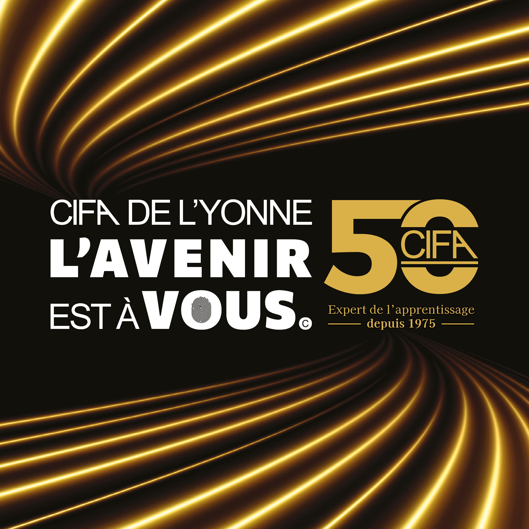 cifa yonne 50 ans beescom