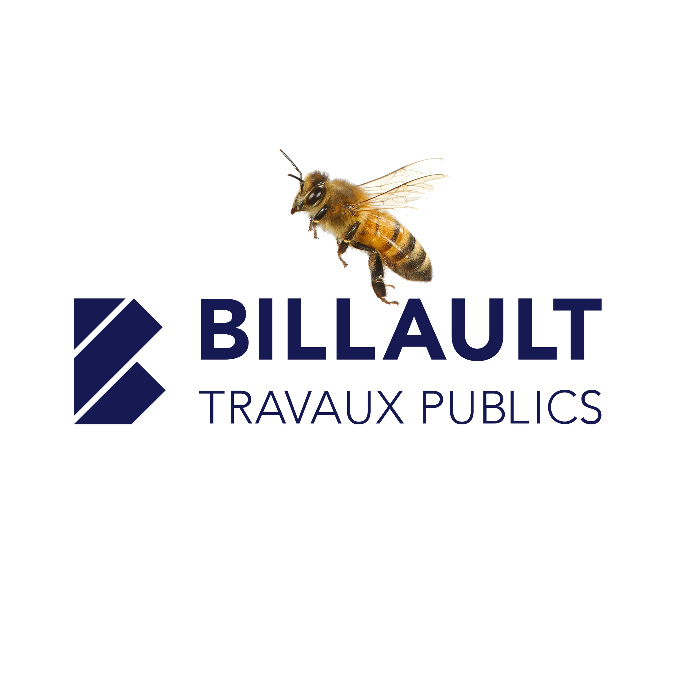 billault tp beescom