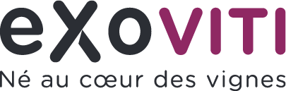Logo Exoviti